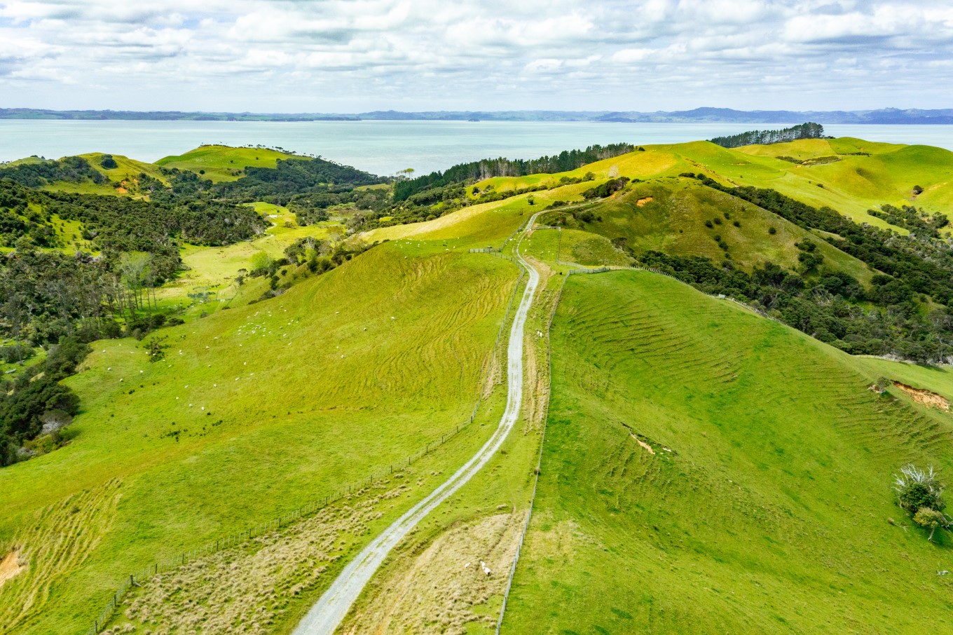Te Rau Pūriri Regional Park.