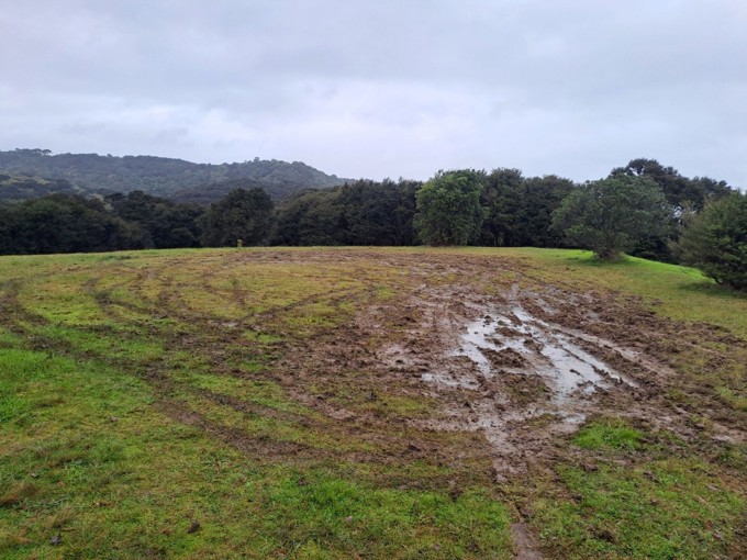 Whakanewa Regional Park