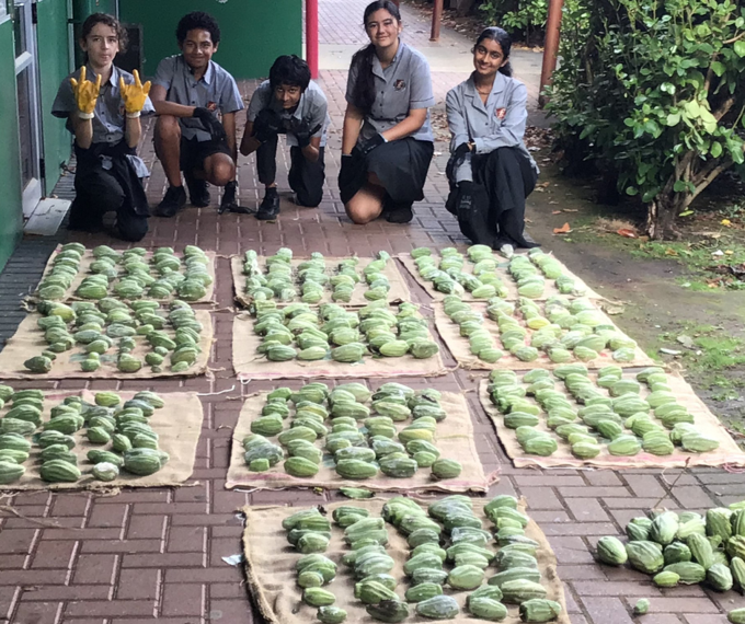 Children with the moth pods