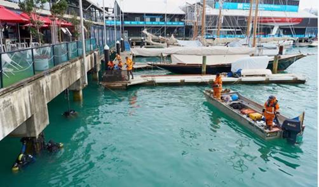 A living connection between land and sea (1)