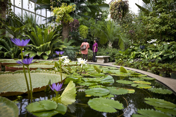 Ways to relax and recharge in Auckland this summer