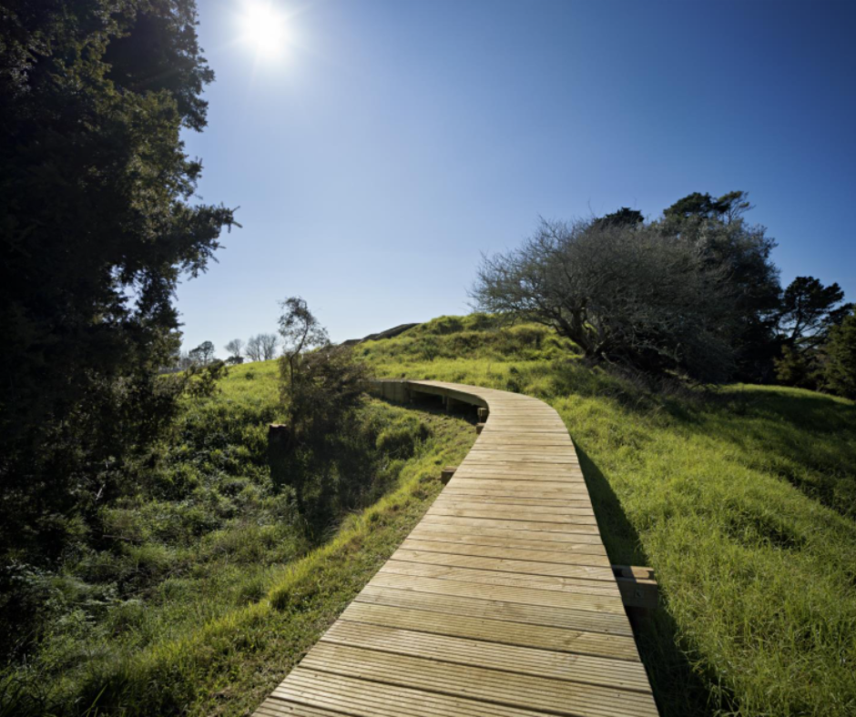 A community basketball court. 