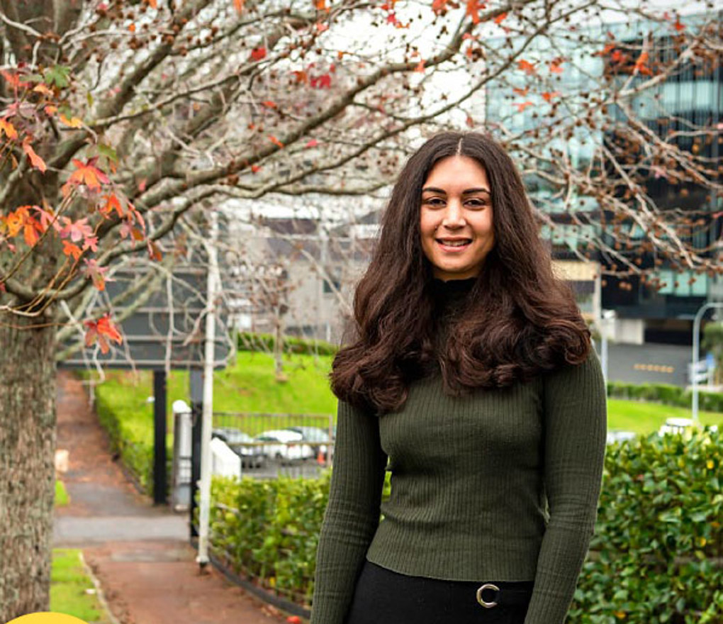 Future Auckland: Electing Auckland's representatives (1)