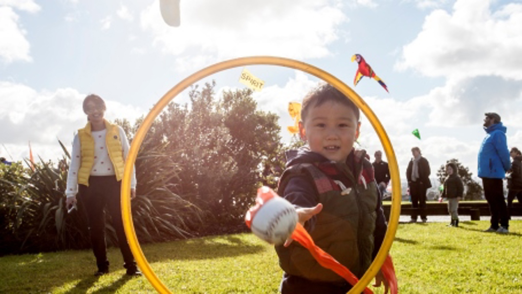 Spotlight on Puketapapa 2