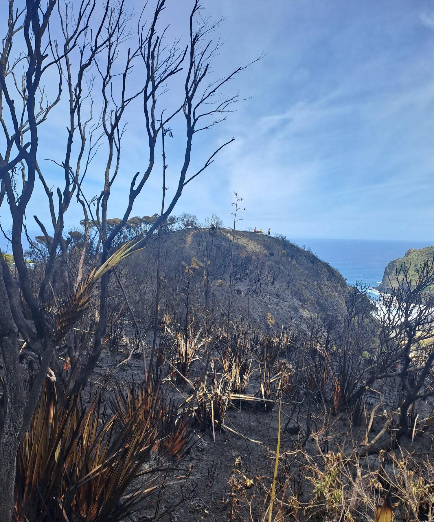 An image taken on Thursday 16 January 2025 from the end of Anawhata Road, showing the devastation caused by a fire to native vegetation on the headland. 