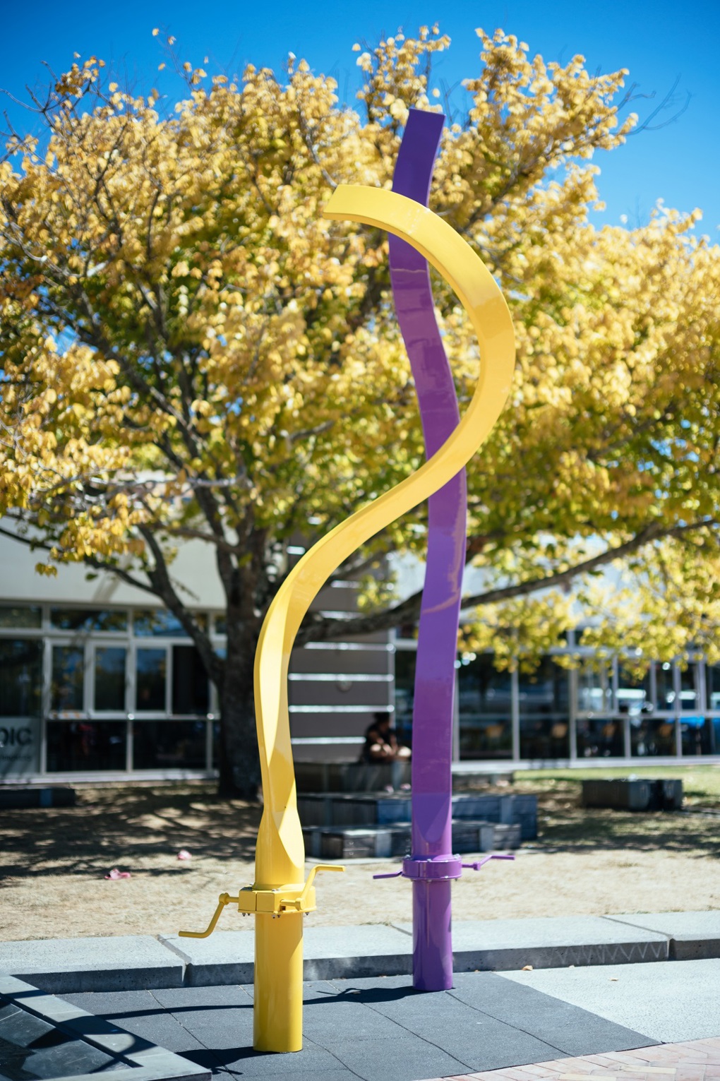 Kate Sheppard ribbons come to life in art (3)