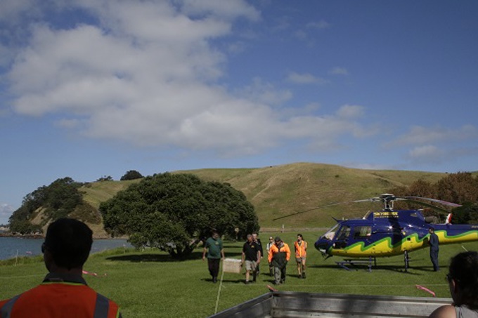 Kiwi release Motutapu 1