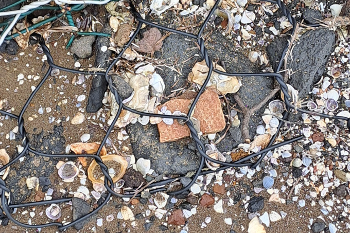 An example of asbestos-containing fibre cement board (centre) at Glendowie Bay