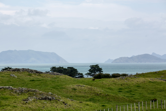 Game-changing study of Manukau Harbour