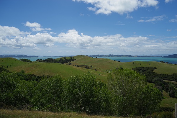 A scenic view of gently rolling hills fields with the sea in the background.