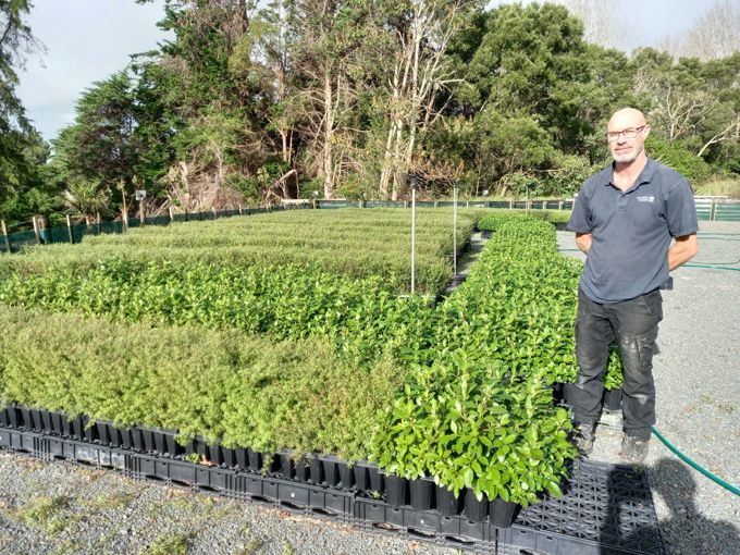 Atiu Creek Regional Park Nursery Steve Burgess 1360