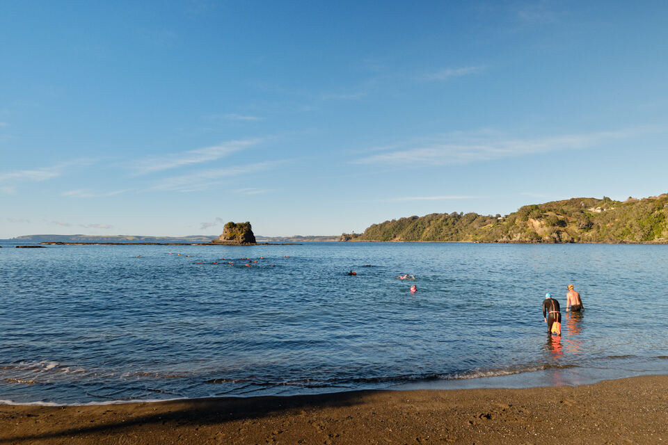 People in the ocean by the beachside. 