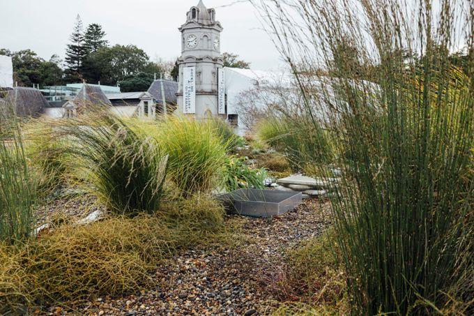 Central Library Living Roof Garden image 38-454619_hvx4hvb3.jpg