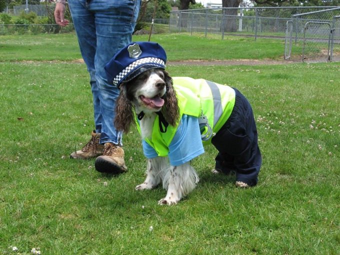 It's a Dog's Story 1