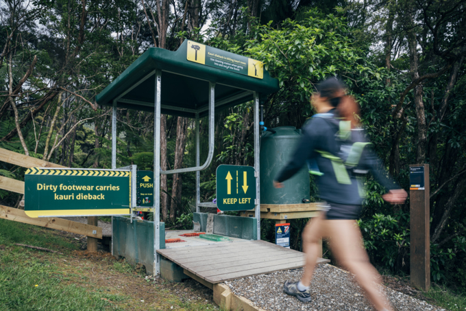 Waitakere Ranges track re-openings delight board