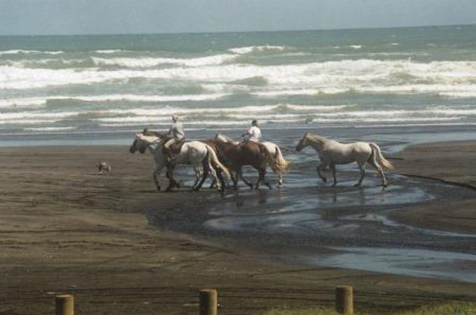 Karioitahi Beachcompressed.jpg