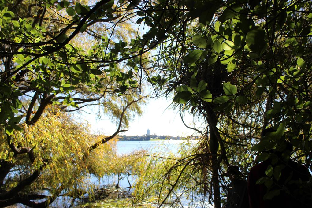 Lake Pupuke banner pic_djh5jafx.JPG