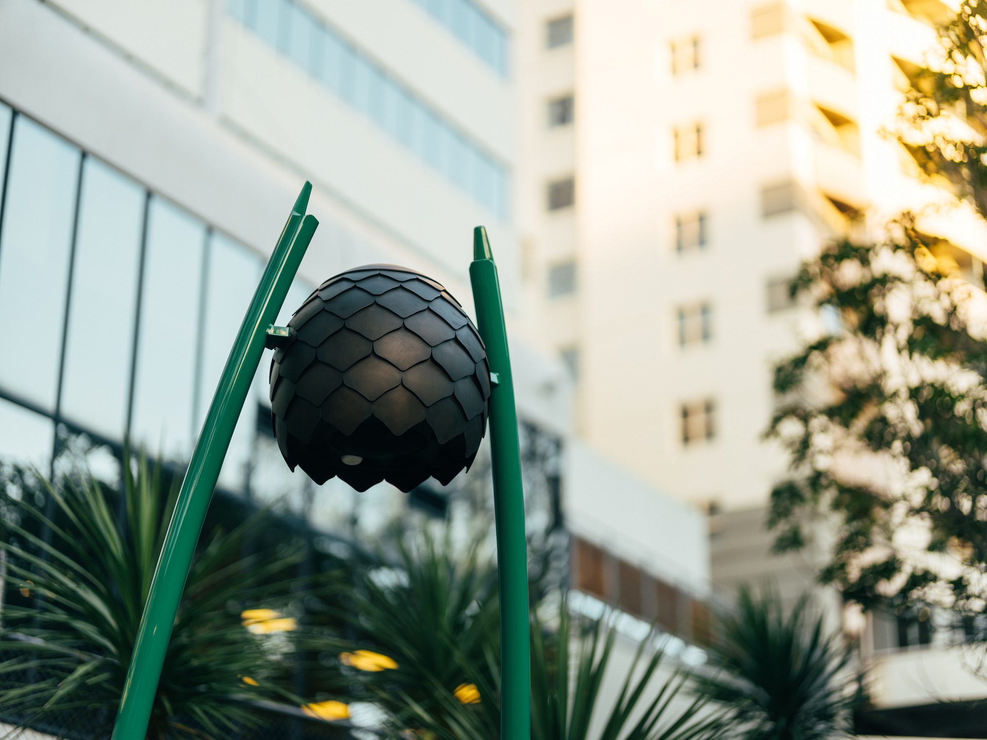 Kauri cone form; a wananga element of Waimahara.