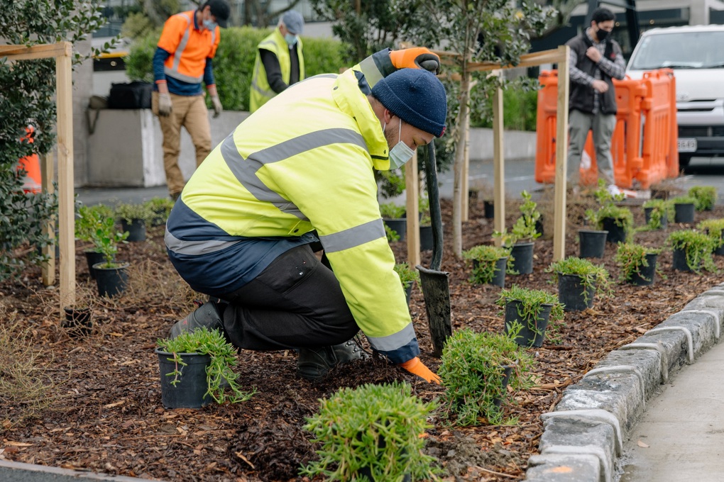 Planting