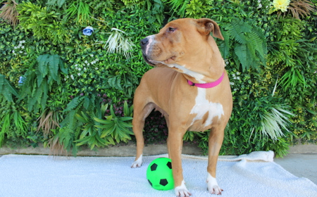Maggie tile image