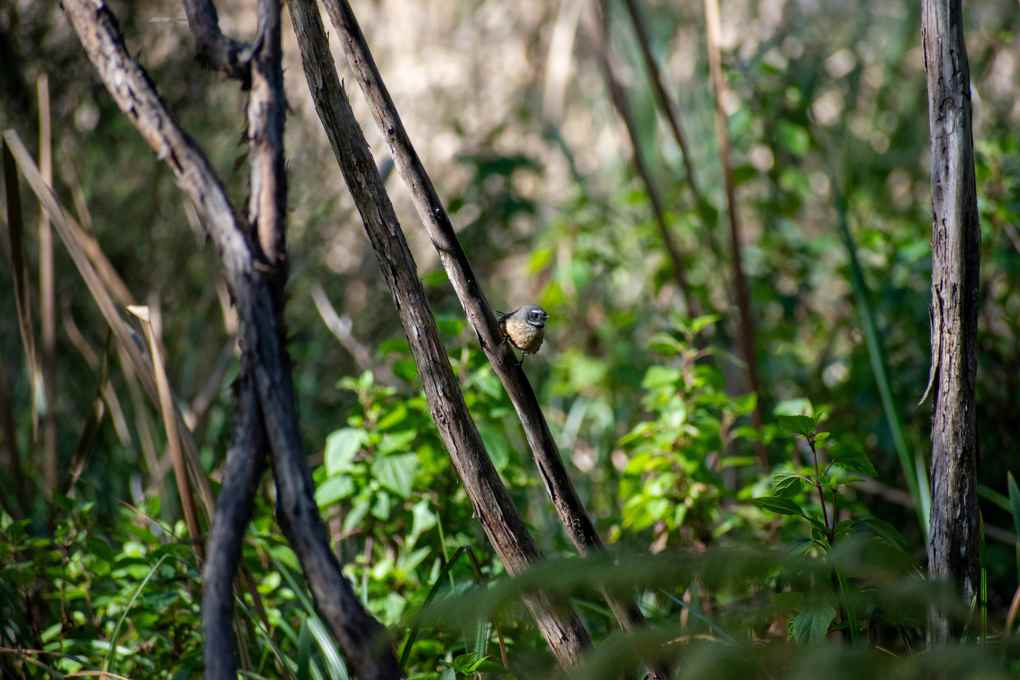 eli-prater-jKd2048qkOU-unsplash low res_4judibvw.jpg