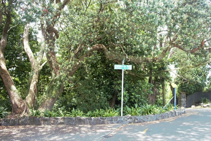 Locals supported to help preserve ecological treasure (1)