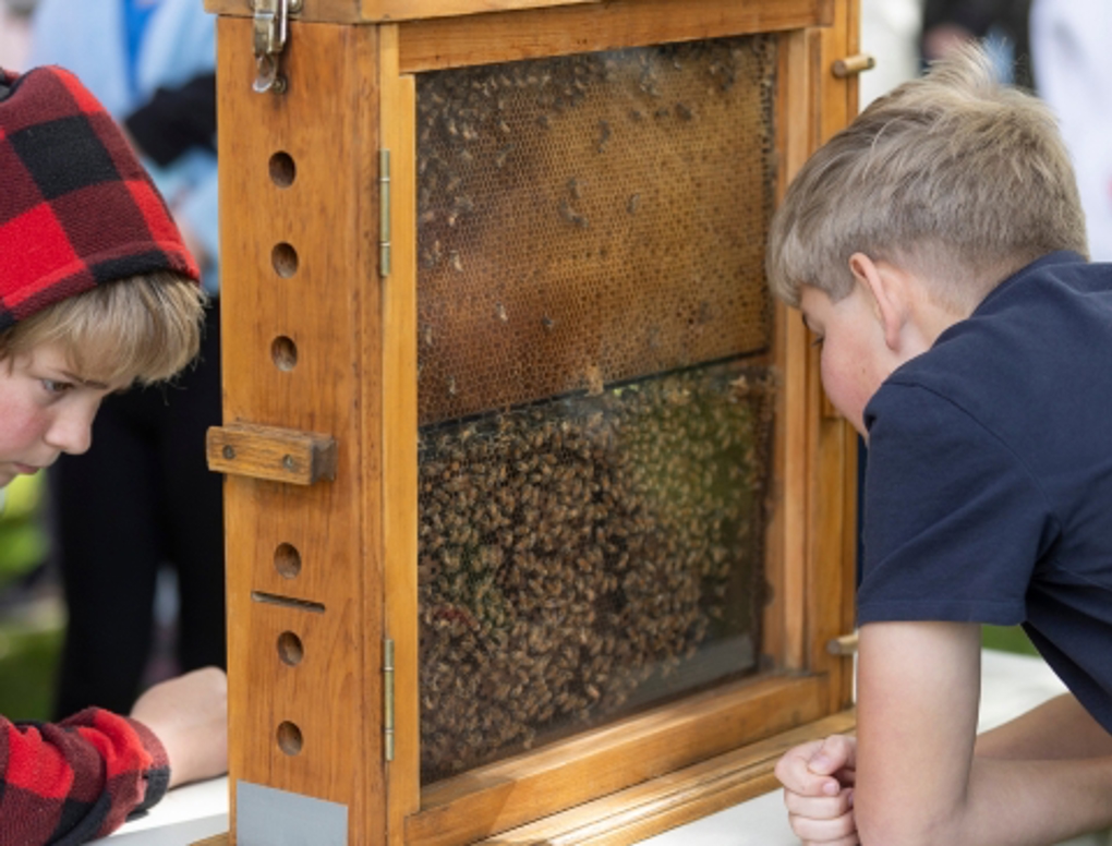2_xv2jtj3e.jpg