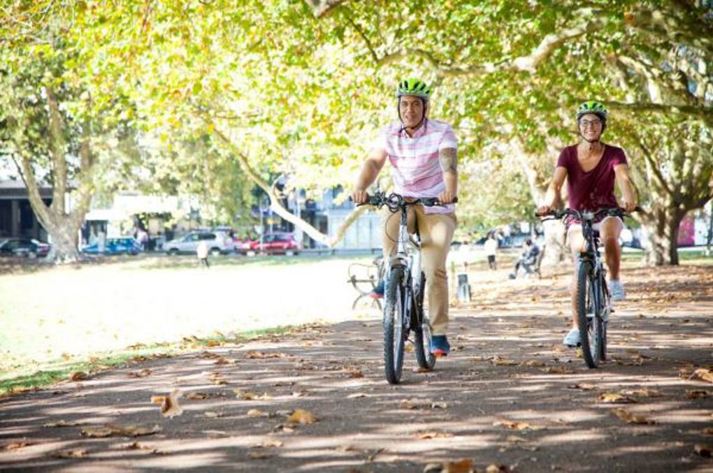 Projects reveal potential for low-carbon future in Waitematā