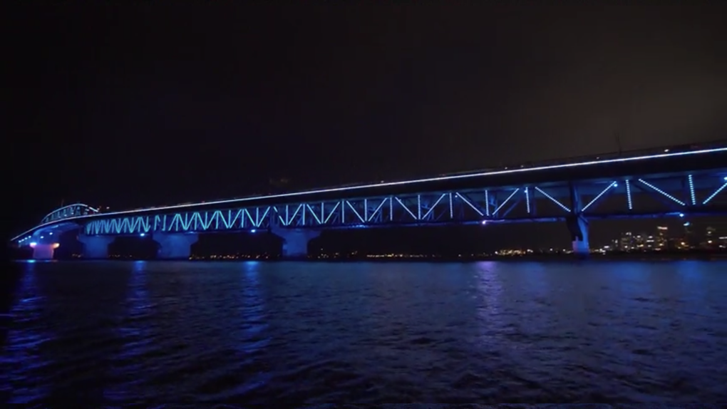 Crowds turn out to see Vector Lights shine bright (2)