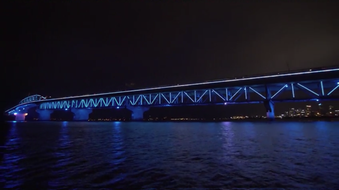 Crowds turn out to see Vector Lights shine bright (2)