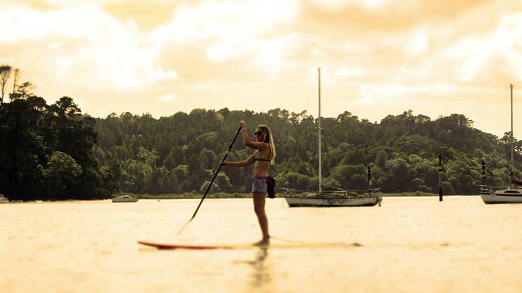 Spotlight on our local board neighbourhoods - Kaipatiki