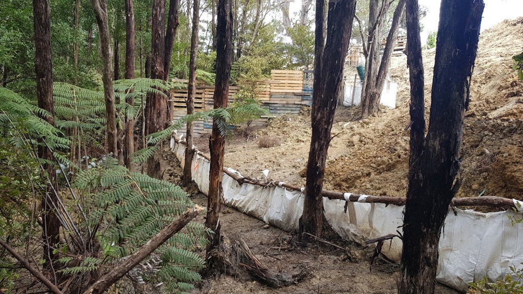 Auckland's small-site erosion control improving