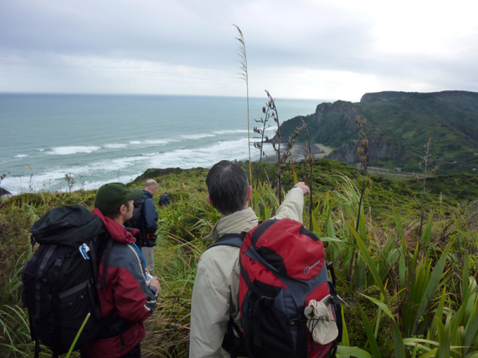 Visitors flock to Auckland over summer (2)