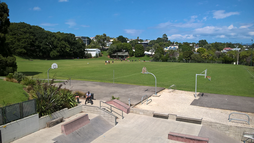 Elevated view of a playing field with a skate park in the foreground. 