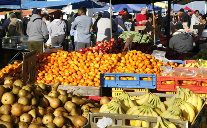 Spotlight on Mangere-Otahuhu 2
