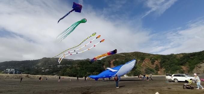 Kites_e10aqluq.jpg