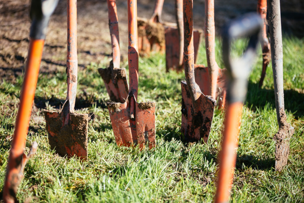 Planting trees