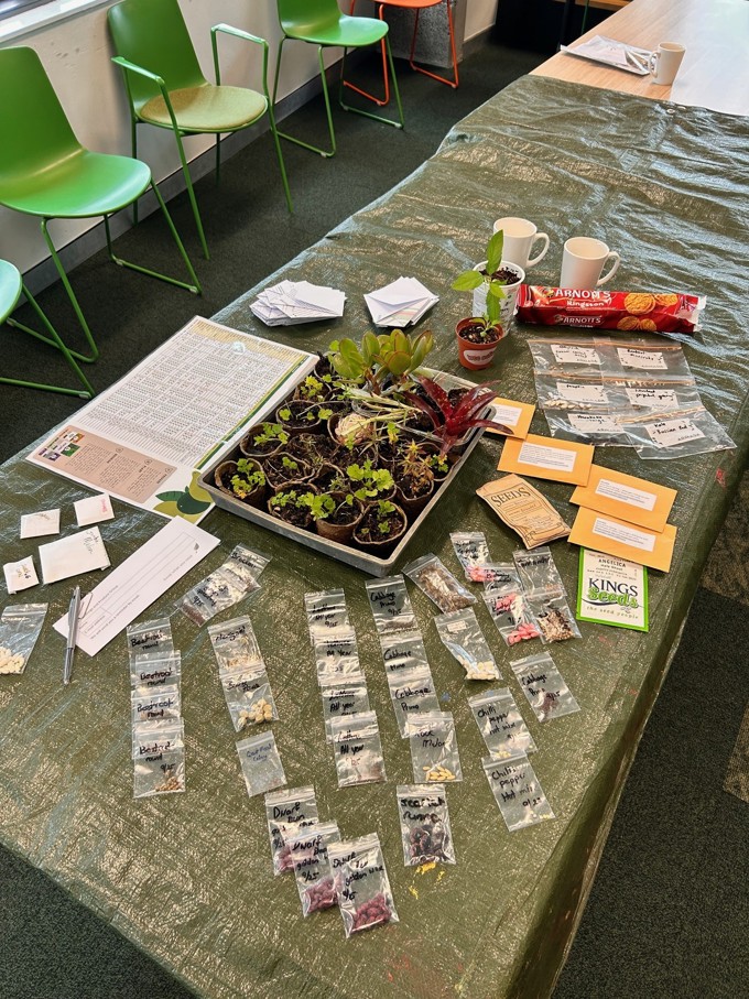 Seed and Seedling Swap Photo 1_bzwqtfnp.jpg