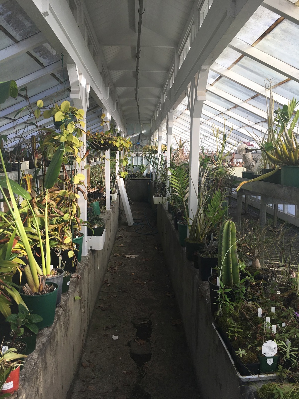 Wintergarden nursery (2)
