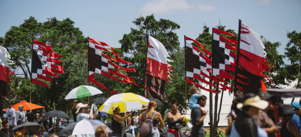 Waitangi Credit Bryan Lowe