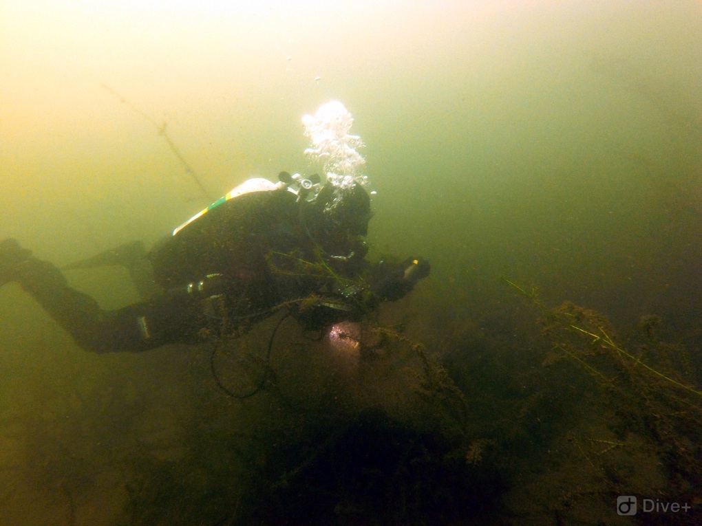 Lake Pupuke 4