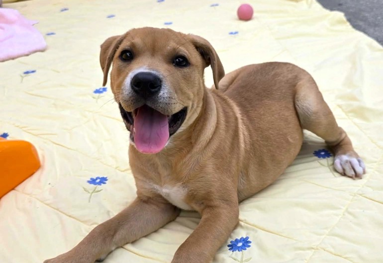 668542719 956966140280985 435879670651787508 N