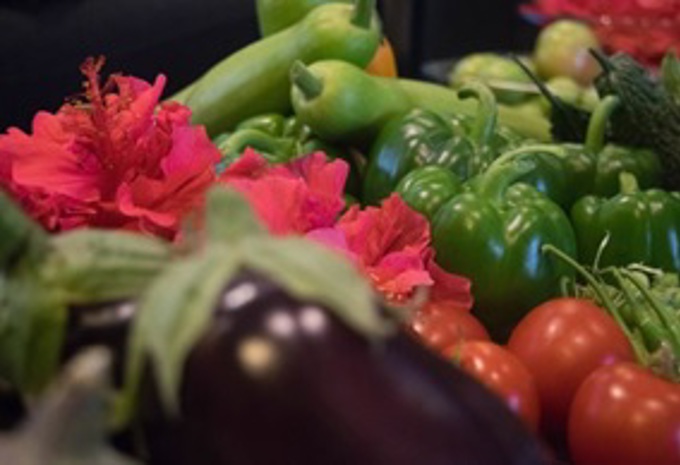 Meet Waste Champion Banu Sidharth (2)