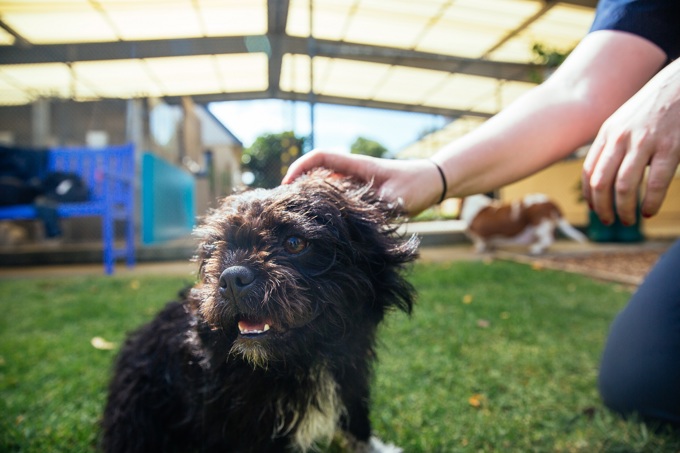 Positive results continue following consolidation