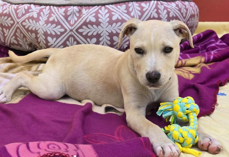 664361817 1514822296973034 687569564117215005 N