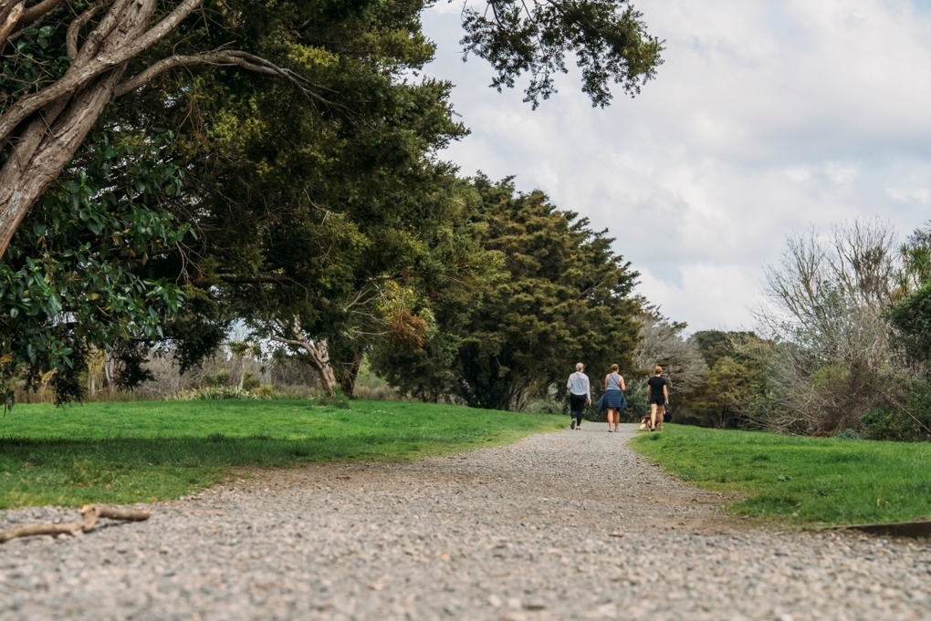 Waiatarua Walk OA