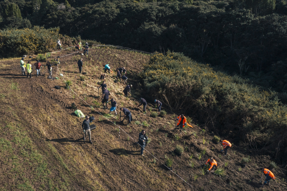 Hosking Reserve Planting Day.