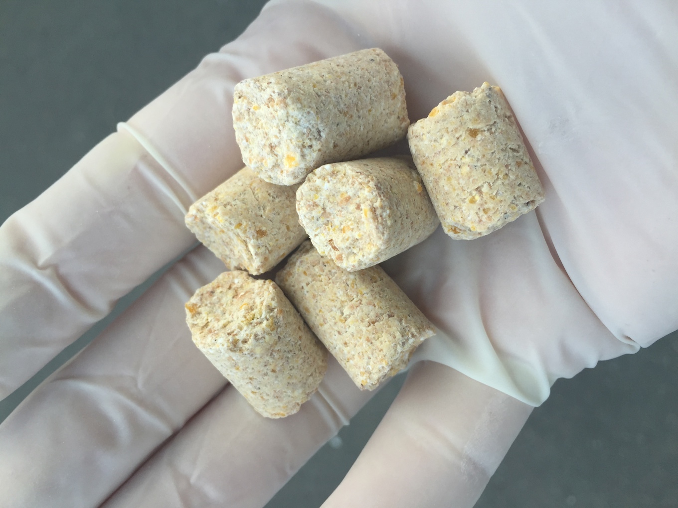 Non-toxic pre-feed bait