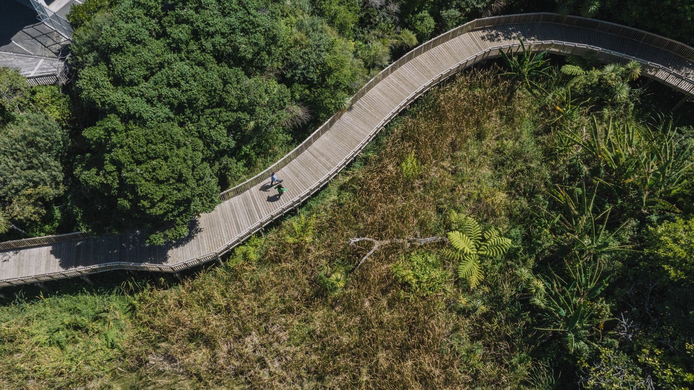 An aerial view of a boardwalk. 