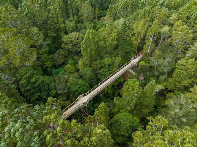 38 467584 Kauri Glen OA